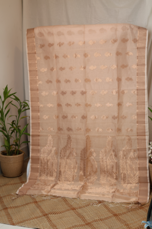 The Ethereal Neutral - Silk Blend Saree