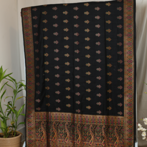 The Midnight Opulence - Kashmiri pure silk saree