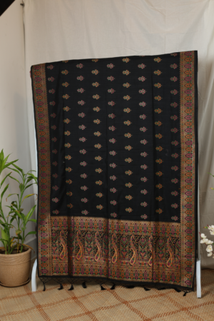The Midnight Opulence - Kashmiri pure silk saree
