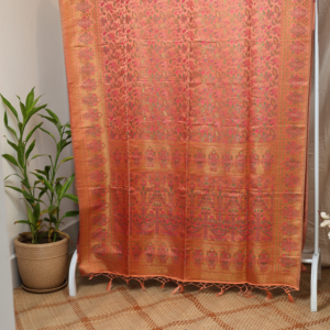 The Earthy Charm - Kashmiri pure silk saree