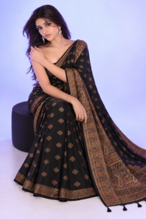 The Midnight Opulence - Kashmiri pure silk saree