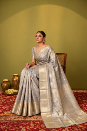 The Silver Moonlight - Banarasi Kora silk saree