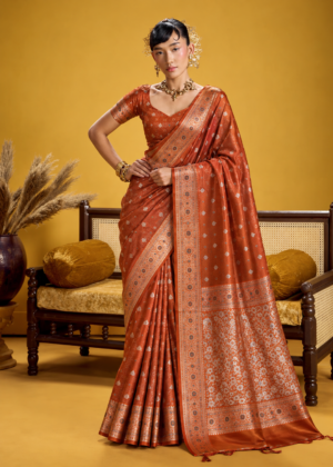 The Golden Ochre - Banarasi Silk Saree